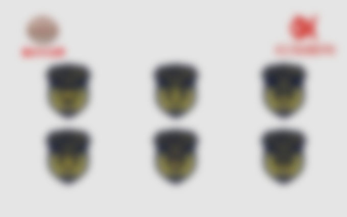 綜合行(xíng)政執法标志(zhì)類-臂章(zhāng)