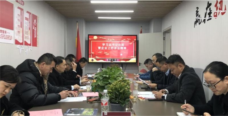 深入學習(xí)習(xí)總書(shū)記在民(mín)營企業(yè)座談會(huì)上(shàng)的(de)重要(yào)講話(huà)精神