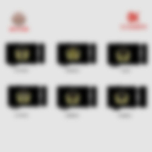 綜合行(xíng)政執法标志(zhì)類-腰帶